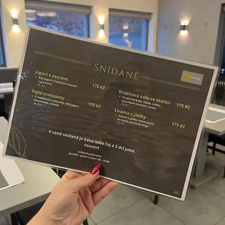 호텔 Green Hotel Ostrava 오스트라바