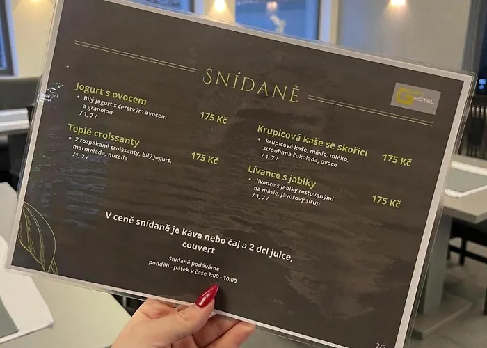 Hotel Green Hotel Ostrava Ostrava